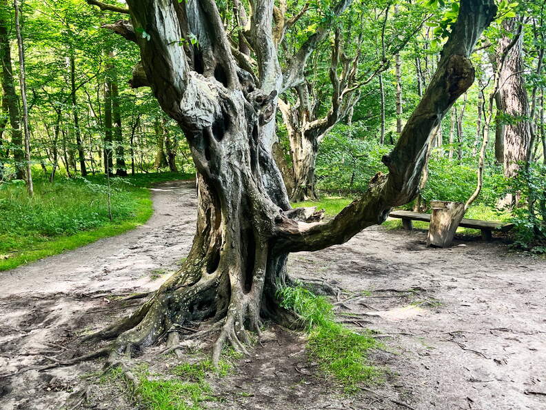 24-07-01 11-40-32 0060